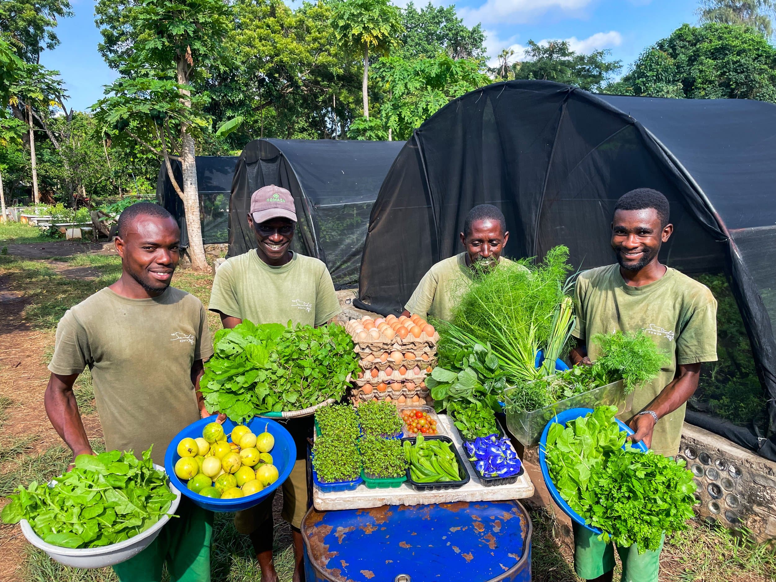 Four smiling gardeners holding bowls of fresh greens, passion fruit and eggs in front of shade-net growing tunnels