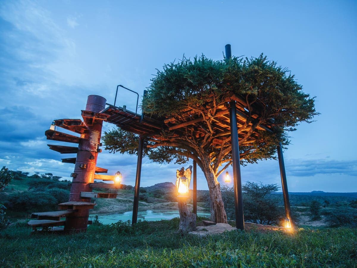 A spiral staircase climbing to a lantern-lit platform in an acacia tree at dusk at Ol Malo